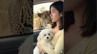 &ldquo;Just One Car Door Between Her and a Leopard&rdquo;