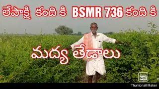 Differences between Lepakshi Vijayadurga Pink Kandi and BSMR 736