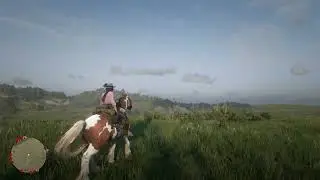 Skewbald Gypsy Cob | RDR2 Online - The Song of the White Wolf