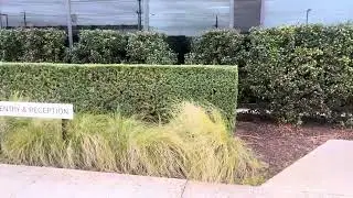 External Hedge 1