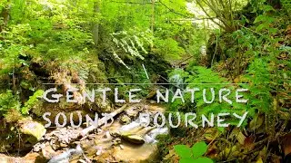 Gentle Nature Sound Journey