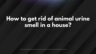How to get rid of animal urine smell in a house?