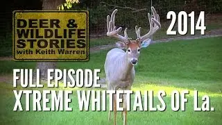 Xtreme Whitetails of Louisiana - Whitetails at the Xtreme | Deer Farming