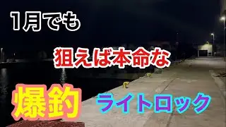 1月でも狙えば本命な爆釣ライトロック 衣浦湾