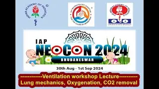 IAPNEOCON 2024 Ventilation Workshop: Lung Mechanics, Oxygenation and CO2 removal