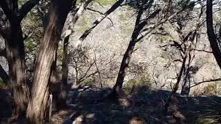 Our favorite Texas state parks hike in camping area. Pedernales Falls state park.