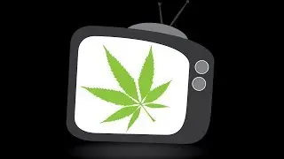 Turn On. Tune In. Catch The Buzz: Marijuana Channel One