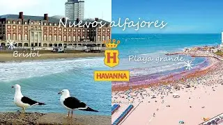 SAL Y CHOCOLATE 🍫 ⛱️Probando los nuevos alfajores Havanna