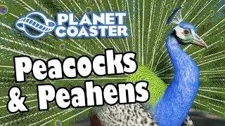 Planet Coaster - Peacocks and Peahens (Thememaker's Toolkit)