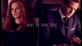 Donna & Harvey || What is Your Love (7x10)