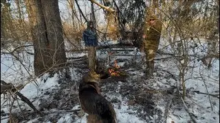 Fire in the woods after snowstorm with German shepherds 