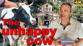 The unhappy cow world fables stories Classics Illustrated Junior tales education e-learning English