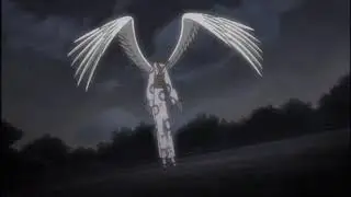 2008 xxxHolic Sixth Collection Trailer