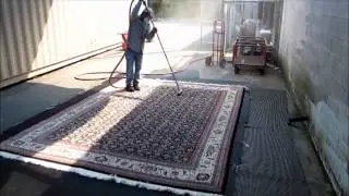 How To Clean An Oriental Carpet. Part 5. Dusting - Second Video