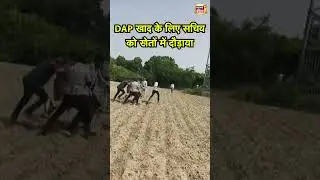 Etawah News: DAP खाद के लिए सचिव को खेतों में दौड़ाया | Viral News | Shorts