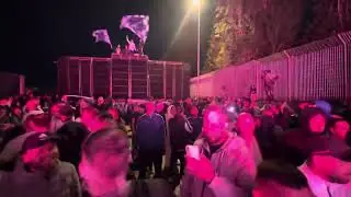 Paranza Principe vs Paranza Pitbull 2025