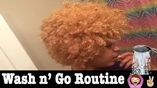 Wash n' Go on Blonde 3c/4a Hair | Natural Hair
