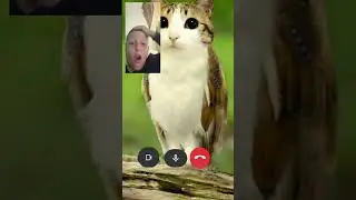 Why you keep calling me?