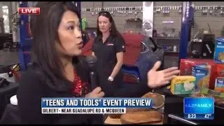 Desert Car Care McQueen preview of 