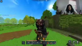 The Hytale Lower End PC Experience