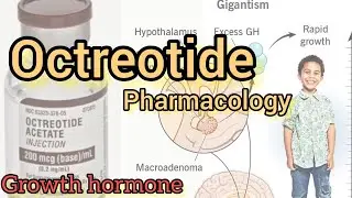 Octreotide Pharmacology | Growth hormone | Somatostation |#PharmD