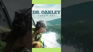 TEN WORD TV REVIEW | Dr Oakley, Yukon Vet (Seasons 1 to 12)