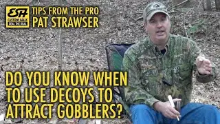 Esh Custom Calls | When Do I Use Decoys