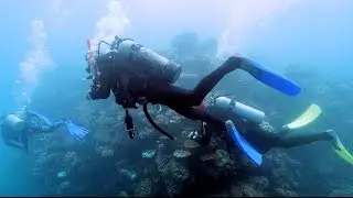 Moore Reef Recovering From Low Level Bleaching
