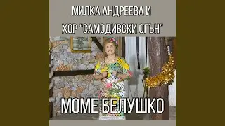 Моме белушко