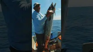 POWER OF TRANSFORMATION IN SEA ANIMALS 🌊 #shorts #animals