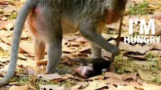 EXTREMELY CRY !! Piti full poor Jayden mom mistreat weaning milk| Jayden hurt scare feeling hungry.