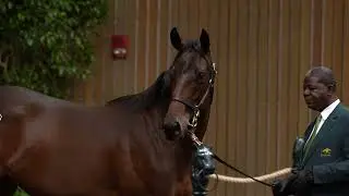 Keeneland September Book 1 Recap