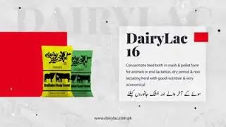 Dairylac Feed
