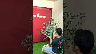 Banyan leaves for backdrop design ideas backdrop design ideas #backdrop