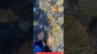 Dehradun Crystal Clear River Water #river #crystals #dehradun #reels #viral #travel