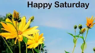 Good morning saturday images  !! Good morning flowers images  !! Good morning photos