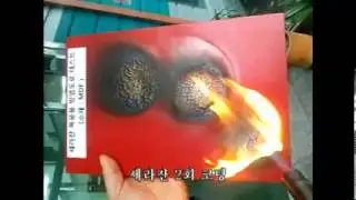 Cerazan stain Fireproof test (세라잔 스테인 방염 시험)