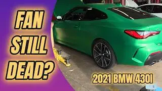 BMW Radiator Fan Dead? Here's The Real Culprit (LIN Bus Nightmare)