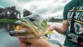 Topwater Bass Beatdown -- Mystery Tackle Box Style