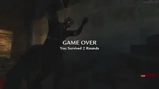 Wtf was this? glitchy game?