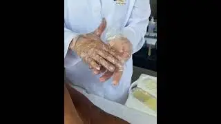 Aprenda como usar: Folhas Prontas Corporal - Mel
