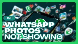 Fix WhatsApp Photos And Videos Not Showing In Gallery On iPhone