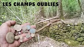 On découvre encore des traces de vies passées dans ces anciens champs oubliés [EP9]
