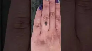 .99ct salt and pepper, rose cut, oval shape diamond