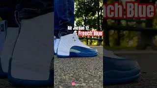 Jordan 12 French Blue / On Feet