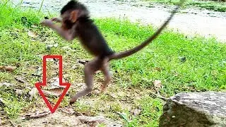 Cute newborn baby Timo why like jump fly like this.Baby Timo learn jump&fail