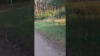 #skoroświt #quad #quads #jazda #adrenalina #niespac #subscribe #latam #blackgir #nature