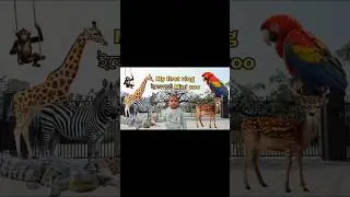 ইকোপার্কে চিড়িয়াখানা 😱Harinalaya।Deer park at kolkata।Eco park। Mini Zoo at Newtown kolkata