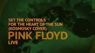 Pink Floyd - Set the control for the heart of the Sun (tank drum cover by Kosmosky )