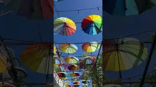 Umbrella Street In Puerto Plata is the Perfect Cruise Stop Self Tour